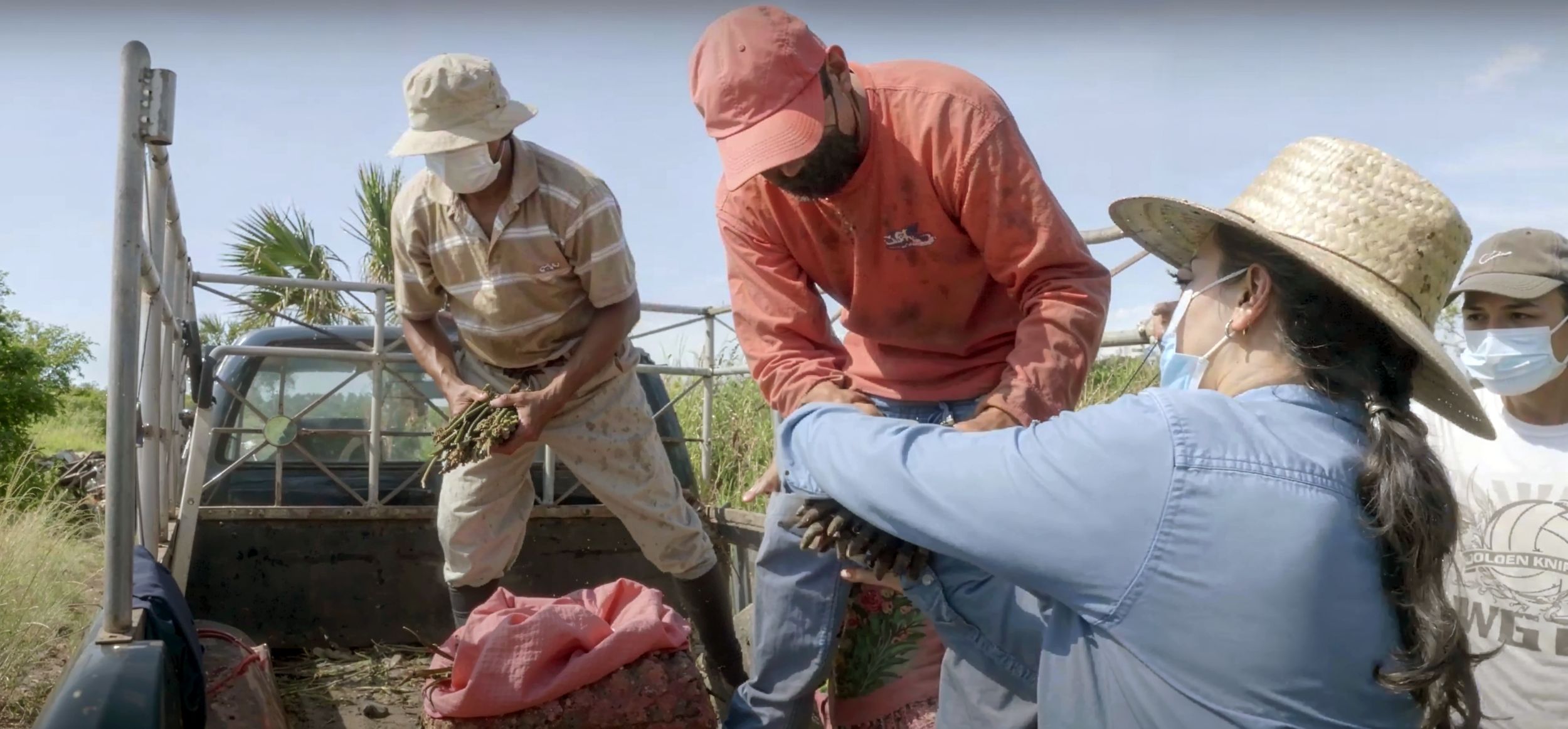 Membros da comunidade unindo forças em esforços de restauração.