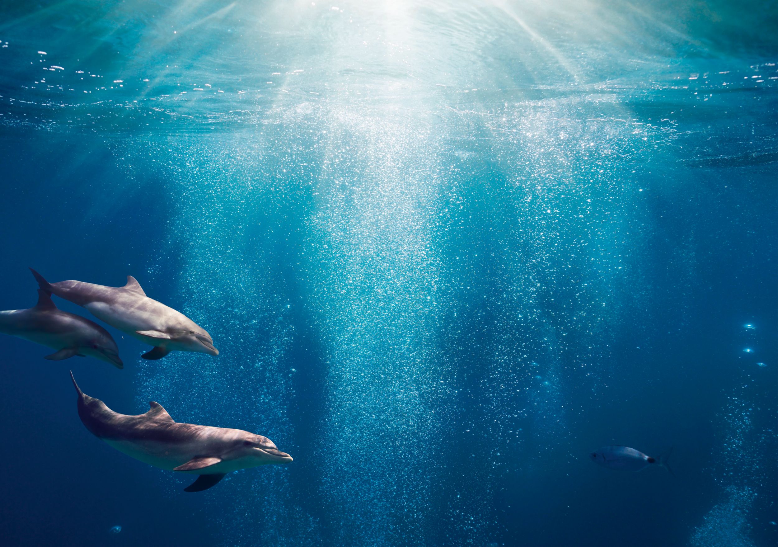 未開の平原をワインのニューワールドに