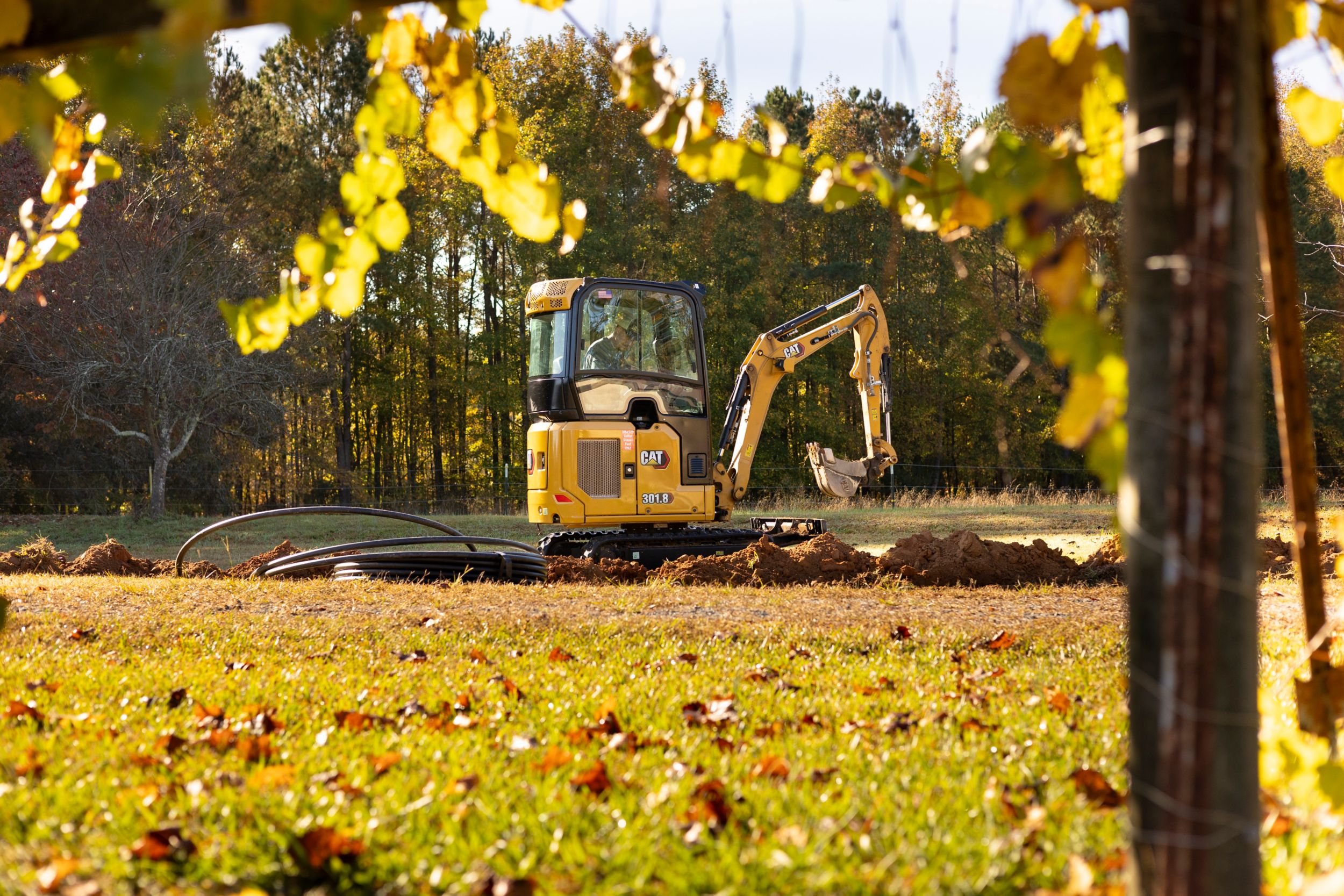 301.8 Mini Hydraulic Excavator