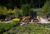 Landscaping application