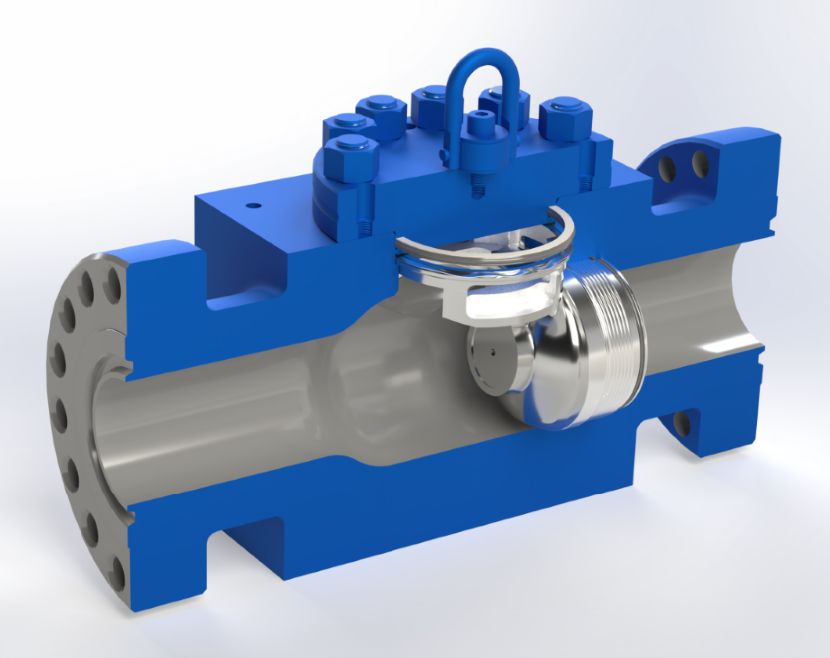 SPM™ 3 inch check valve