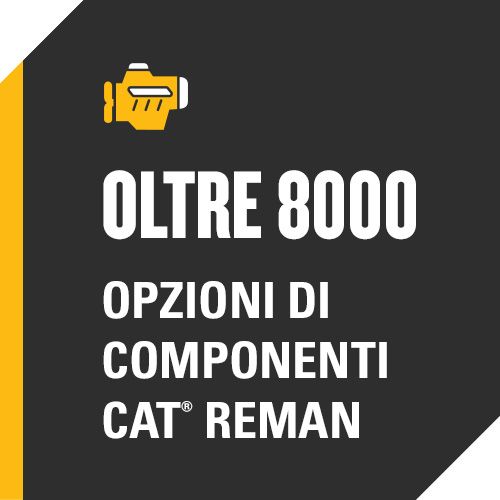 Oltre 8000 opzioni di componenti Cat® Reman