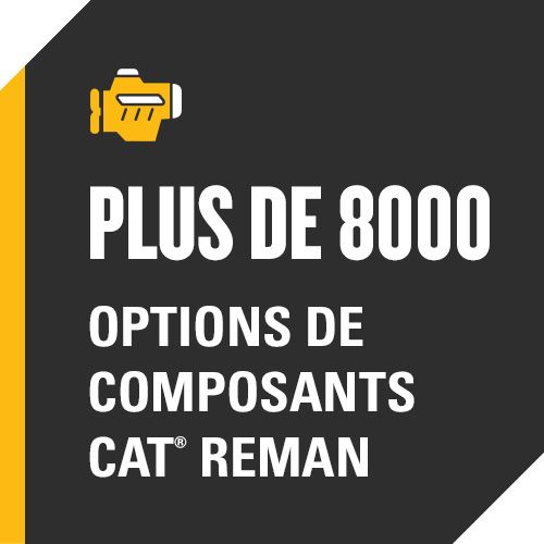 Plus de 8 000 options de composants Cat® Reman