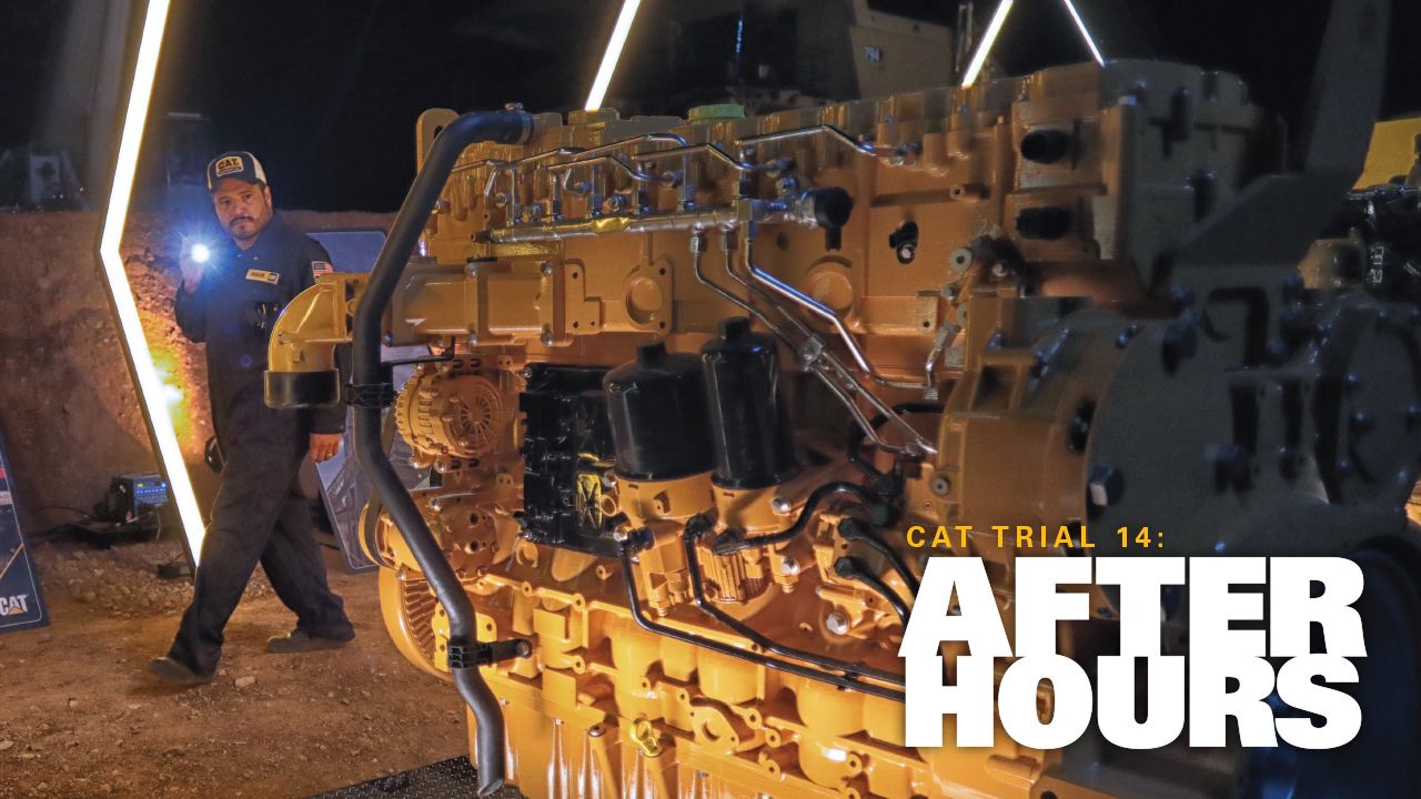 Cat Trial 14: After Hours