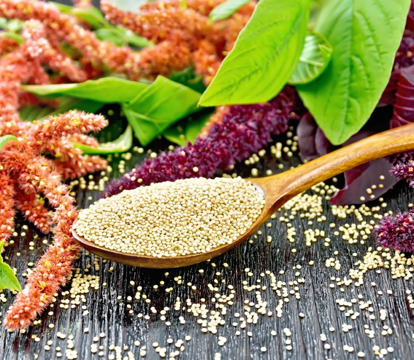 Amaranth grains