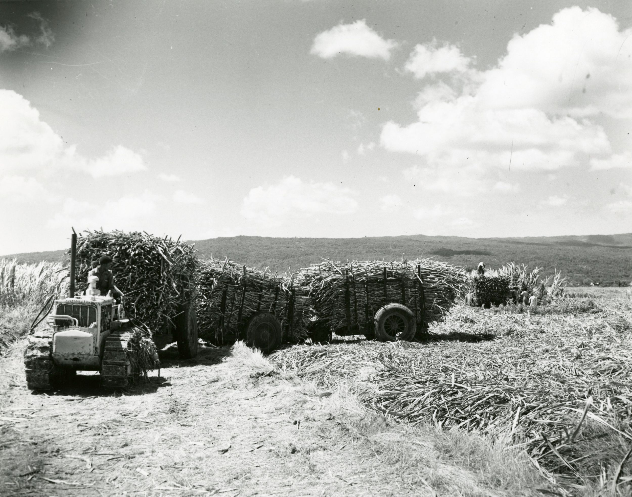 Caterpillar D2 Track-Type Tractor farming in Africa, ca. 1961.