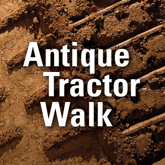 antique tractor walk