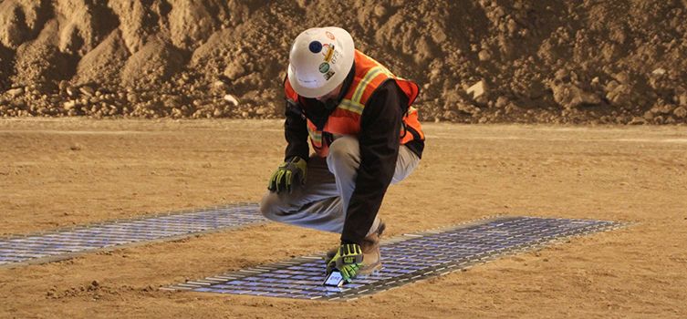 Cat Smartphone in Gravity