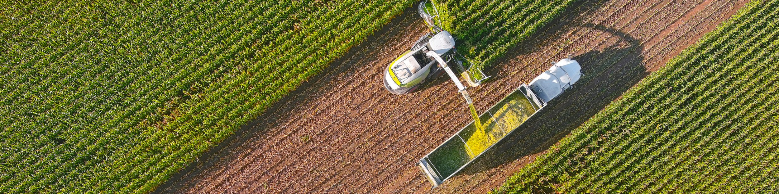 Generators for Agriculture Industry