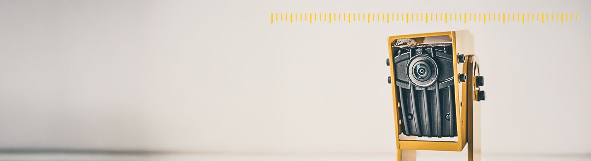 Surround Vision Camera