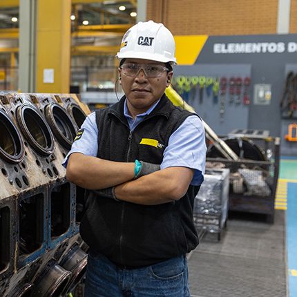 Cat employee staring at camera with arms crossed