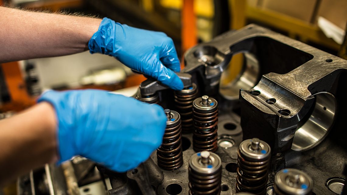 Customer and Shop worker