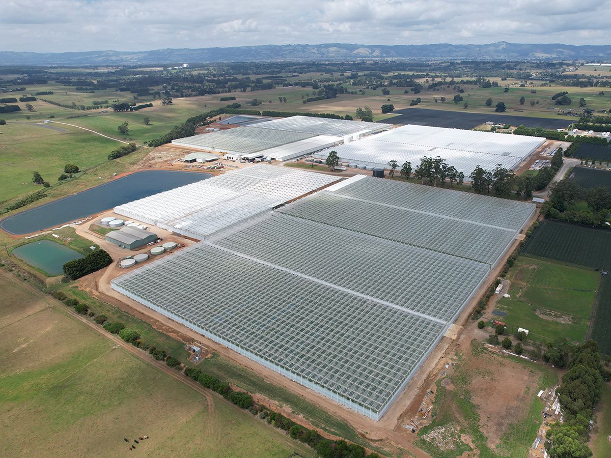 Flavorite Group Australia