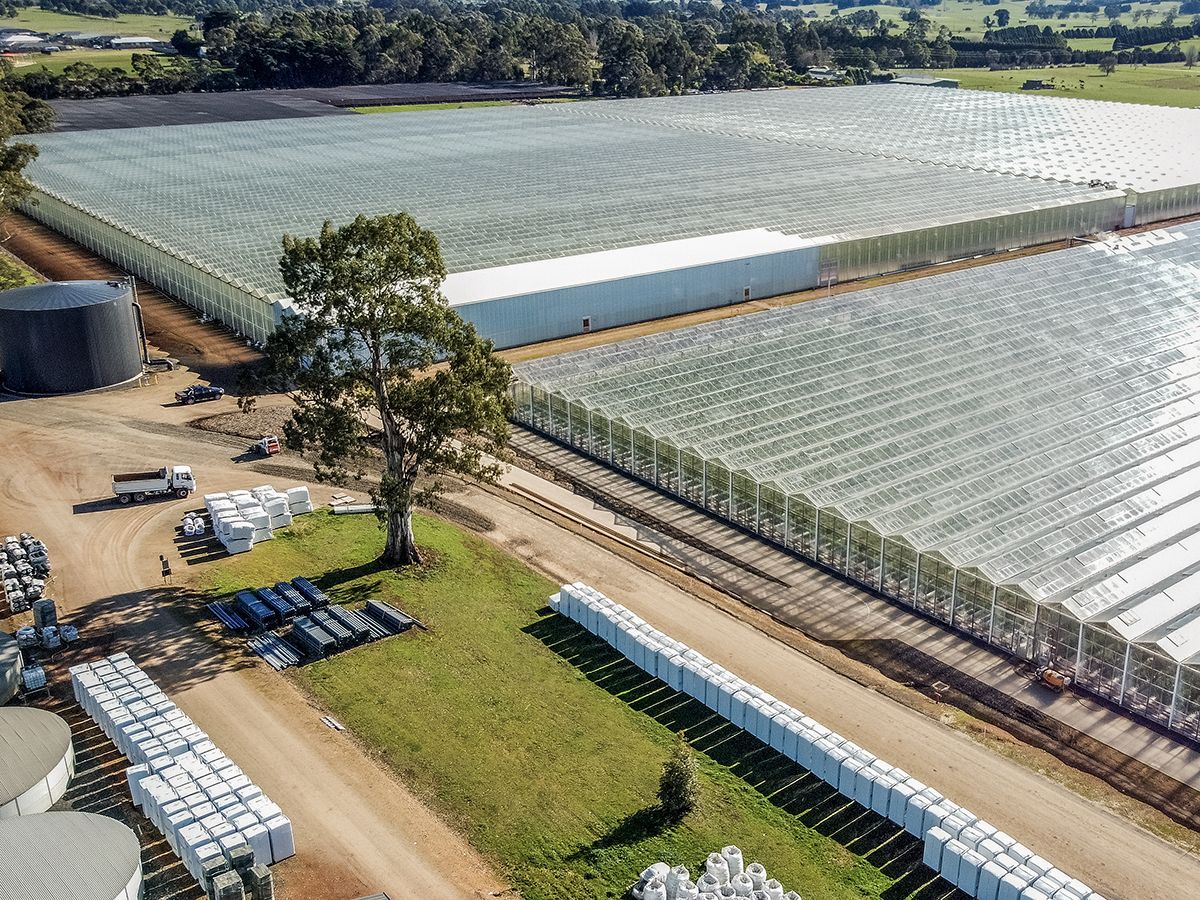 Flavorite Group Australia