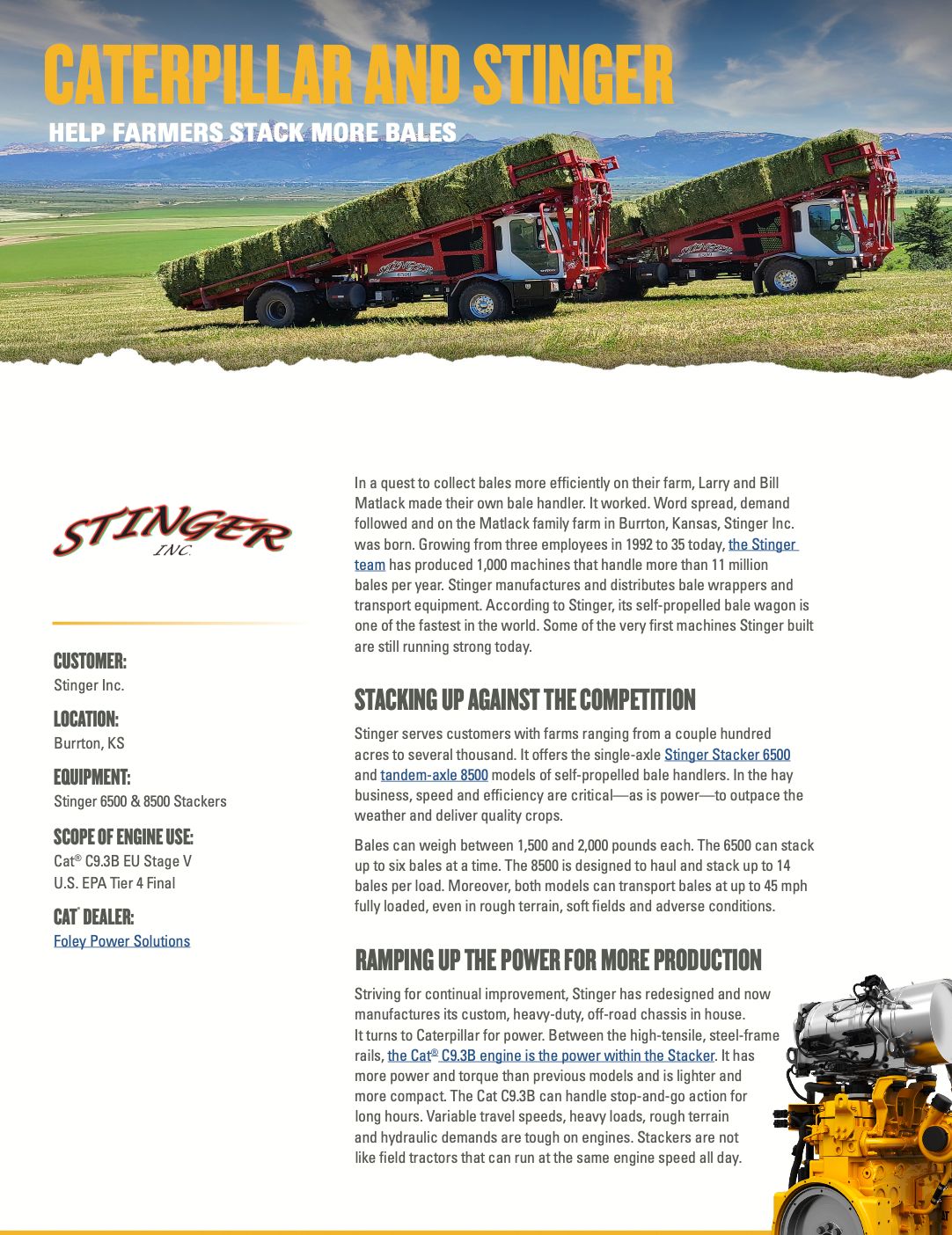 Stinger Power Profile Document