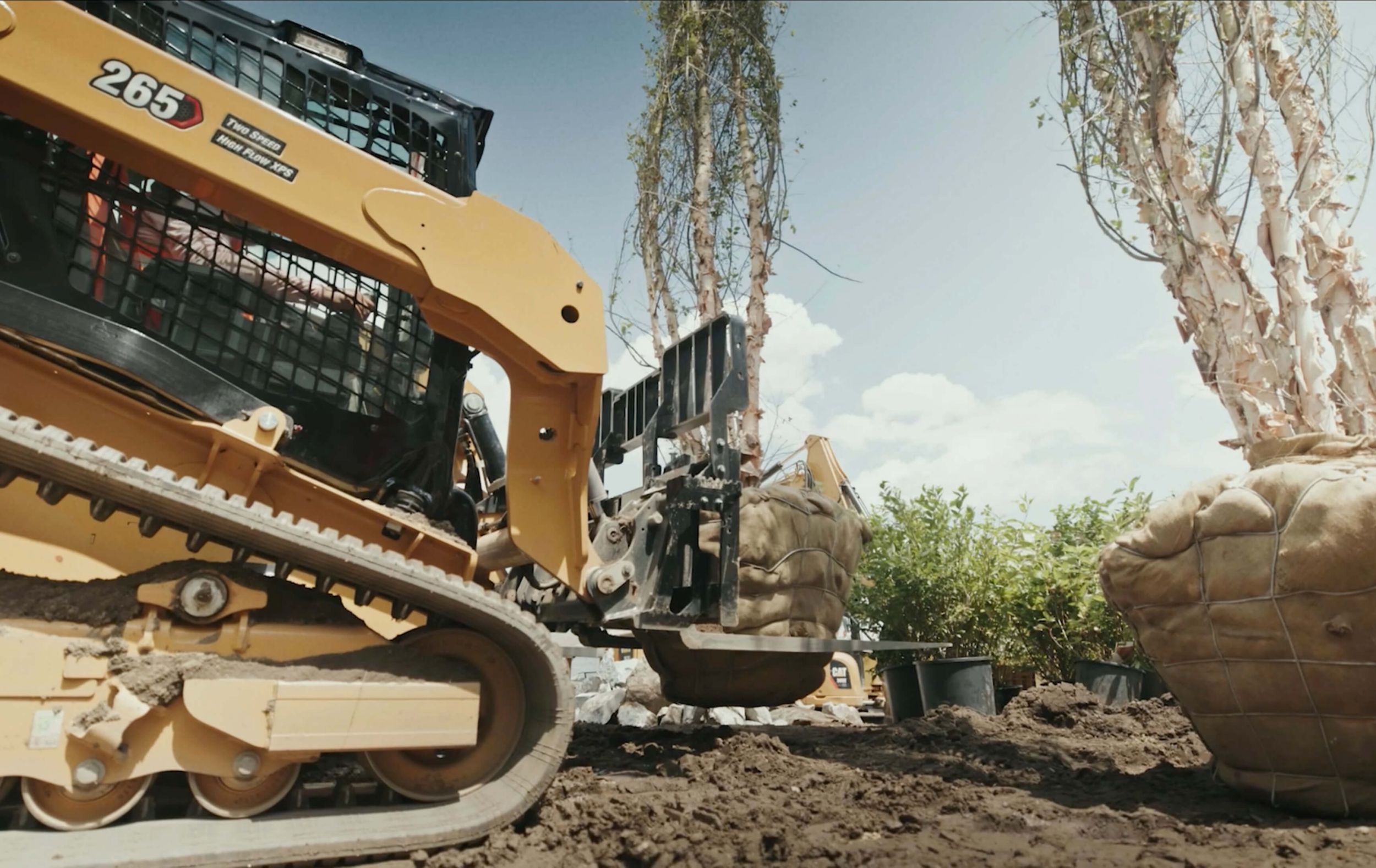CAT 265 planting trees