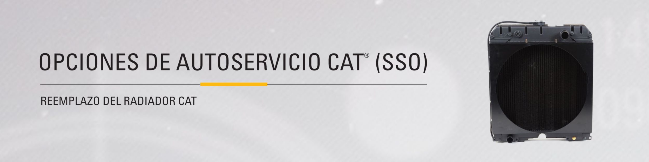 A Cat radiator on a white backdrop