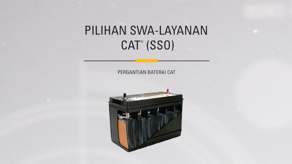 Cat Battery with a cutout to show internal components. 