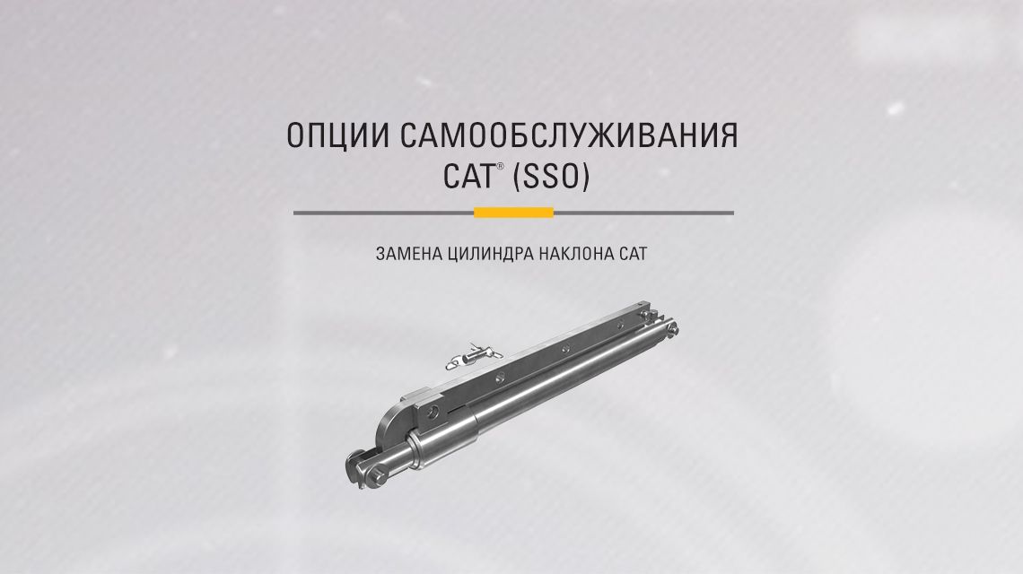 Black and Chrome Cat Hydraulic Cylinder
