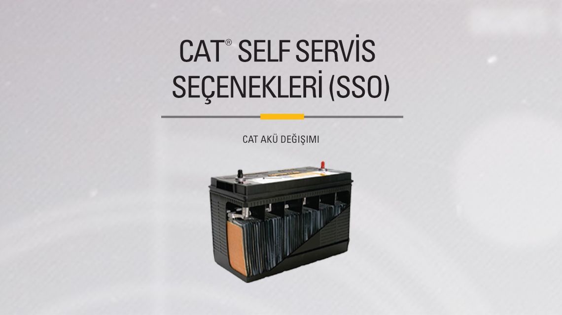 Cat Battery with a cutout to show internal components. 