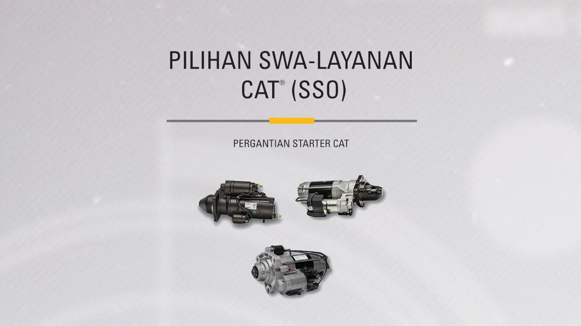 Three variations of different Cat Starters