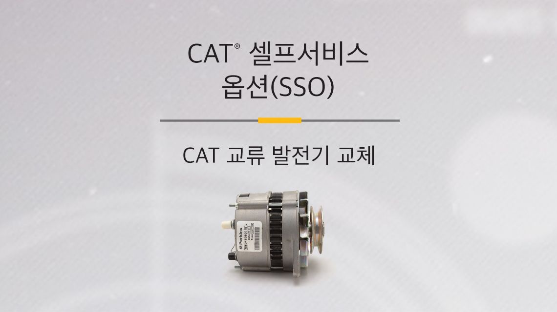 Cat Alternator
