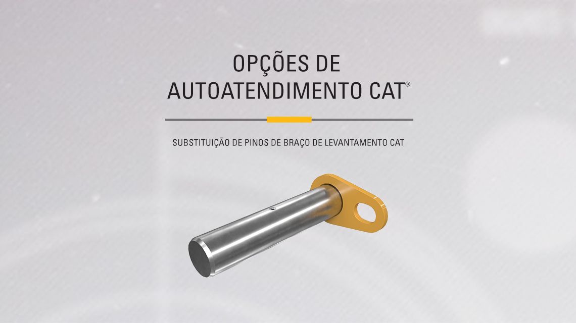 Lift arm pins and bearings