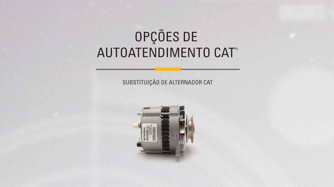 Cat Alternator