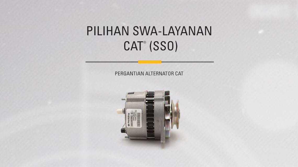 Cat Alternator