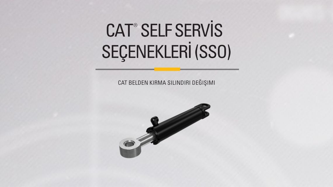 Hydraulic Articulated Cylinder on gray background