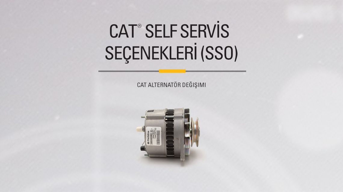 Cat Alternator