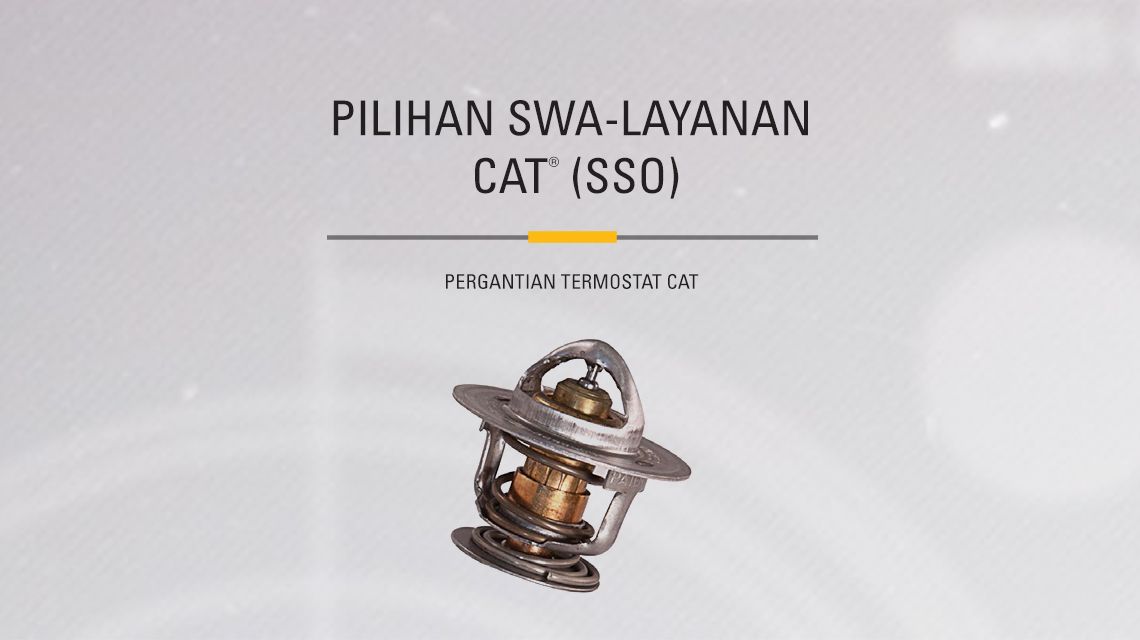 Detailed view of a Cat Coolant Temperature Regulator (Thermostat)