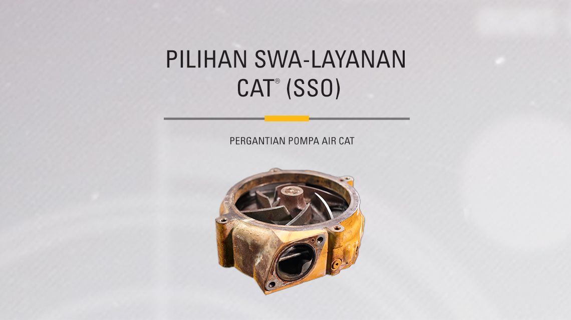 Yellow Cat Water Pump