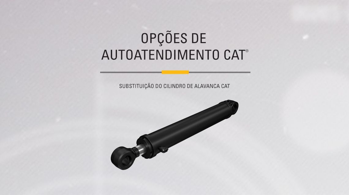 Hydraulic – stick cylinder on gray background