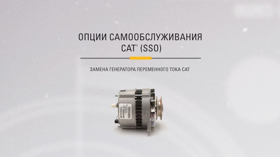 Cat Alternator