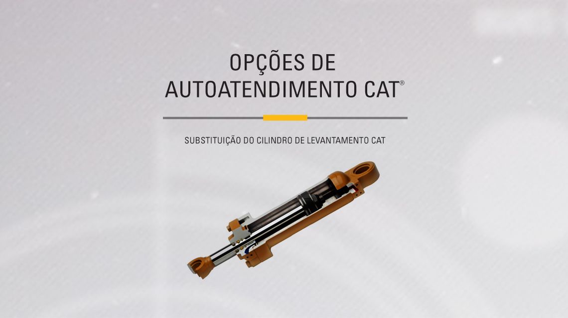 Cat Hydraulic Cylinder