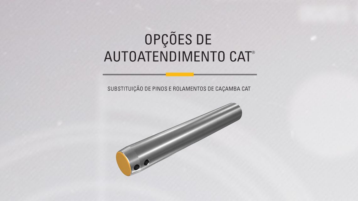 Cat bucket pins and bearings