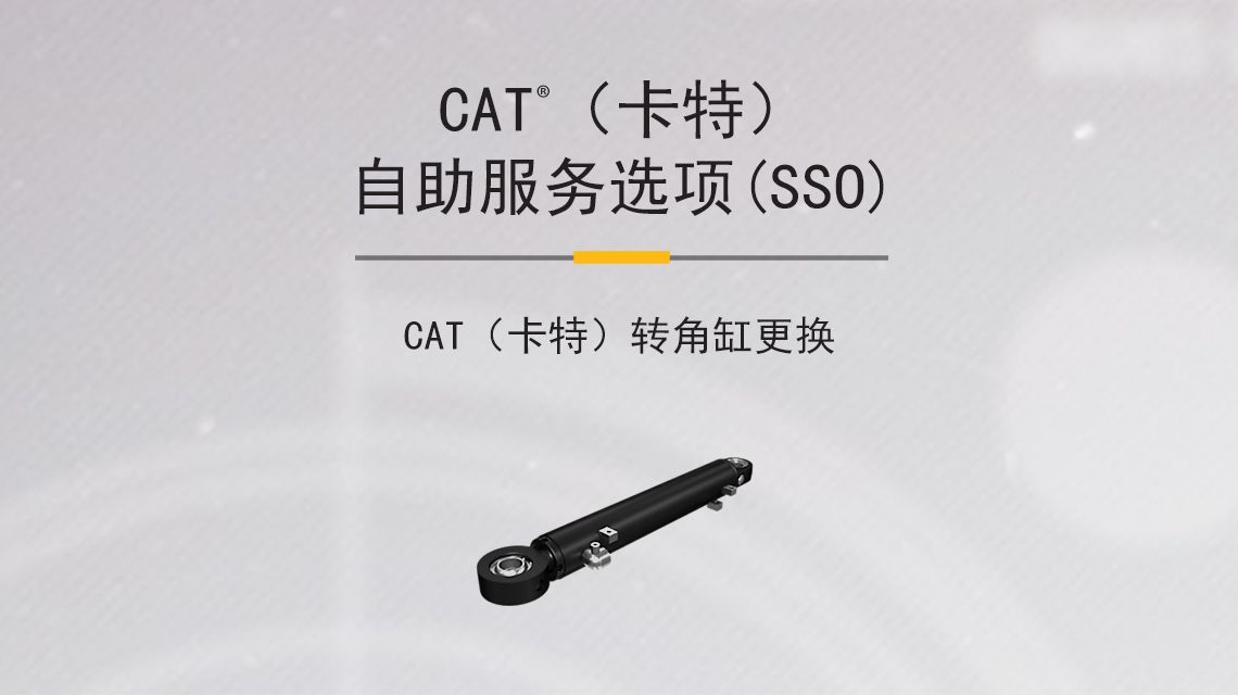 Black Cat Hydraulic Cylinder - Angle Cylinder