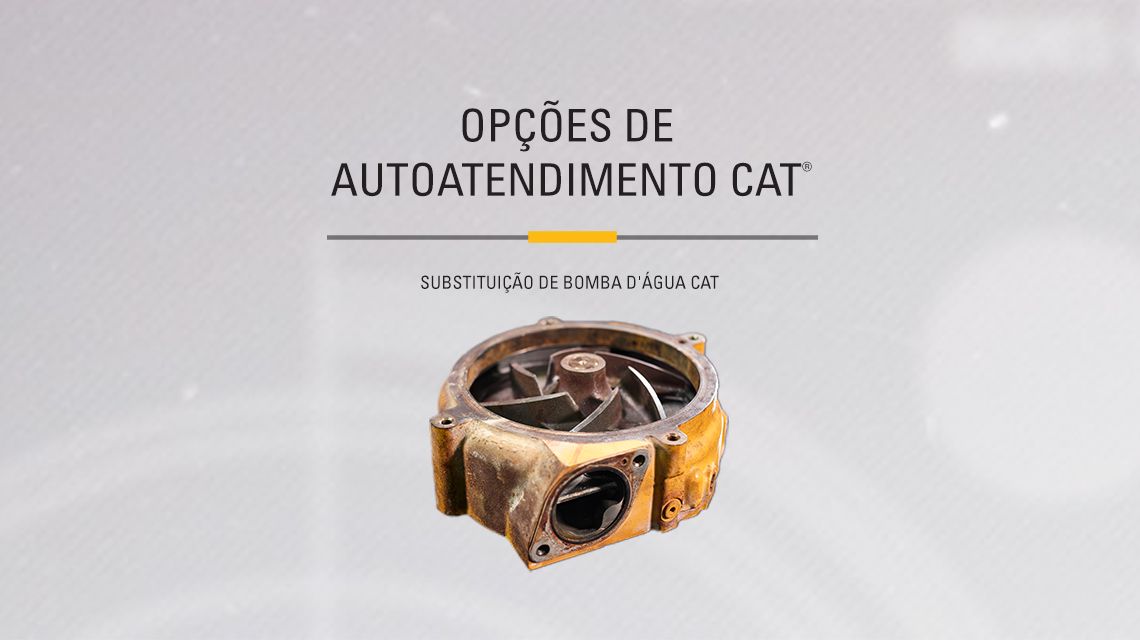 Yellow Cat Water Pump