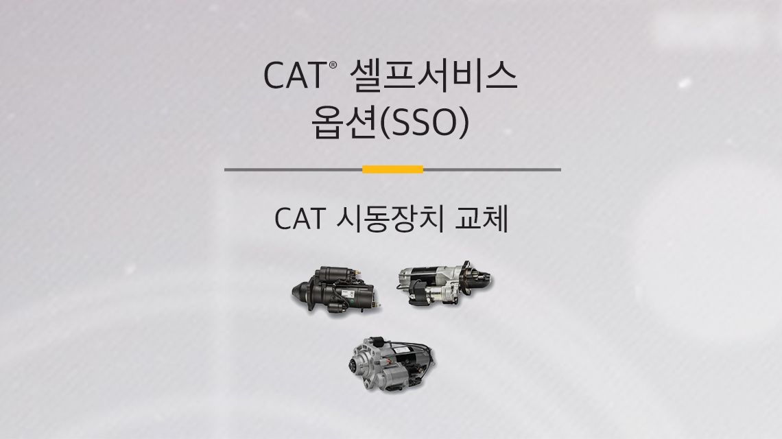 Three variations of different Cat Starters