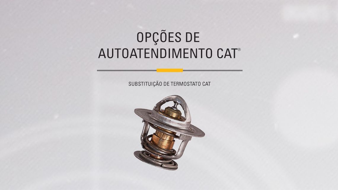 Detailed view of a Cat Coolant Temperature Regulator (Thermostat)