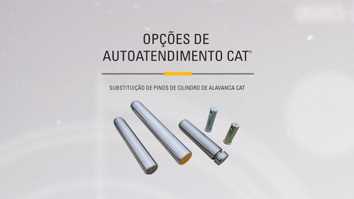 Stick Cylinder Pins and Bearing on gray background