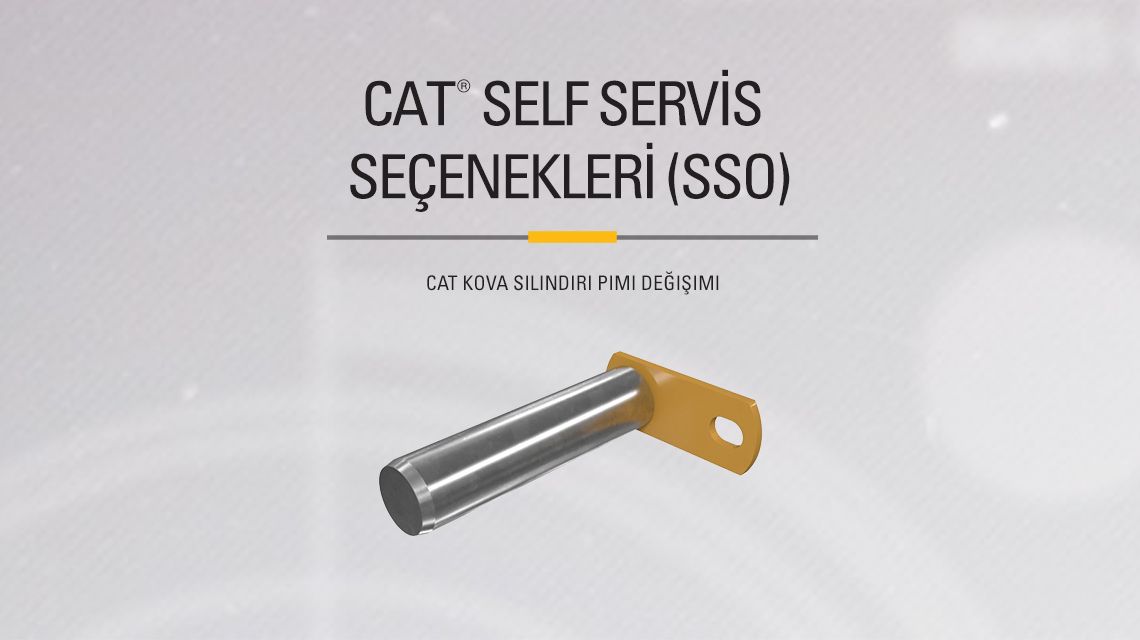 Bucket Pins and bearings on gray background