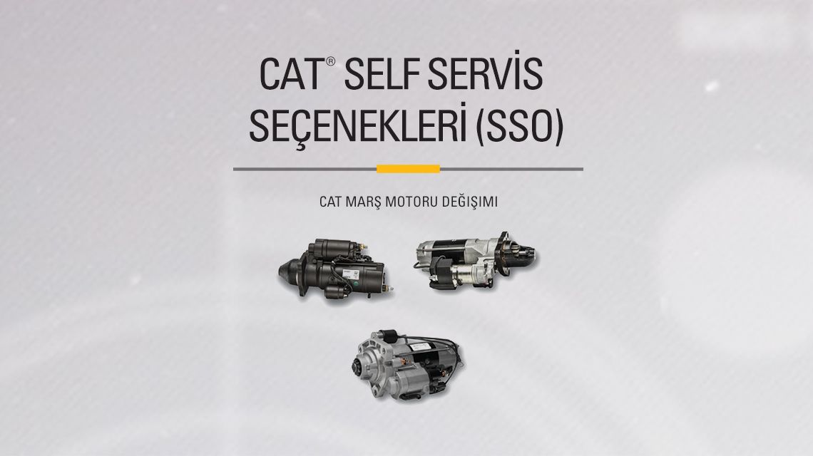 Three variations of different Cat Starters