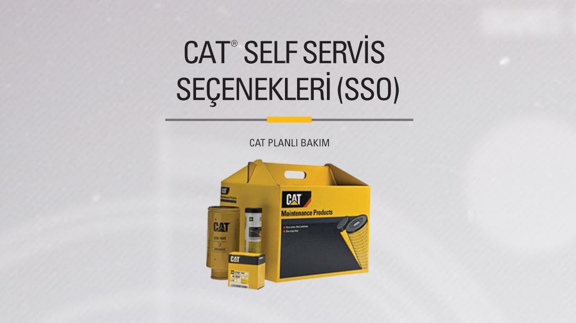 Yellow box of Cat Maitenance Products kit aside miscelaneous parts included. 