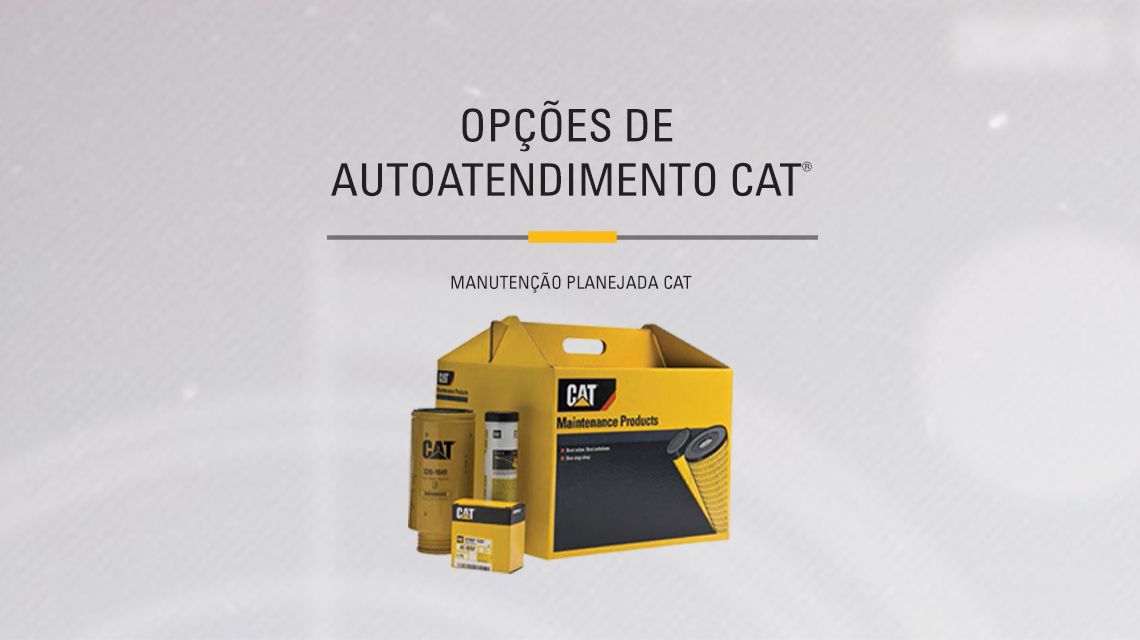 Yellow box of Cat Maitenance Products kit aside miscelaneous parts included. 