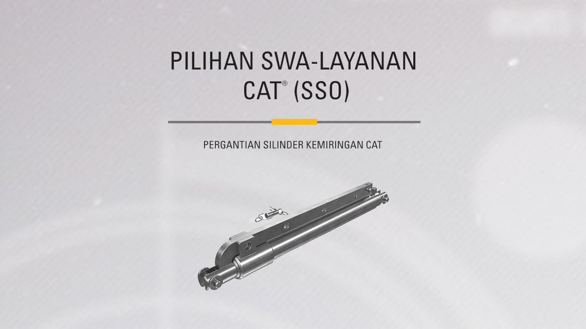 Black and Chrome Cat Hydraulic Cylinder