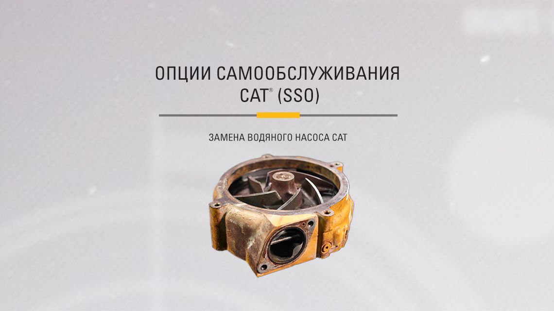 Yellow Cat Water Pump