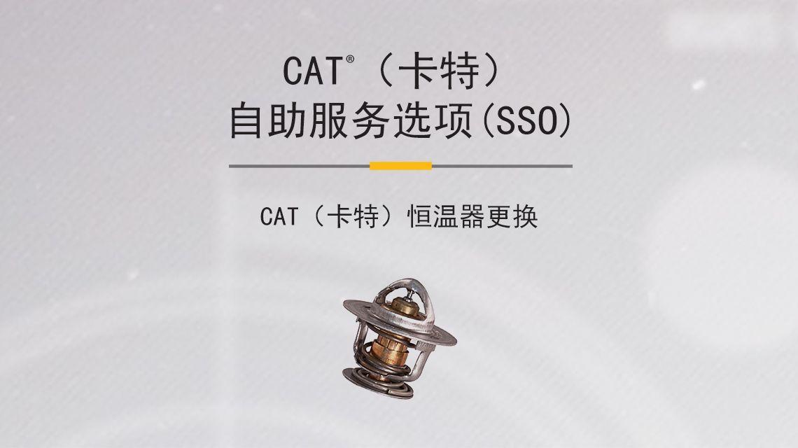 Detailed view of a Cat Coolant Temperature Regulator (Thermostat)