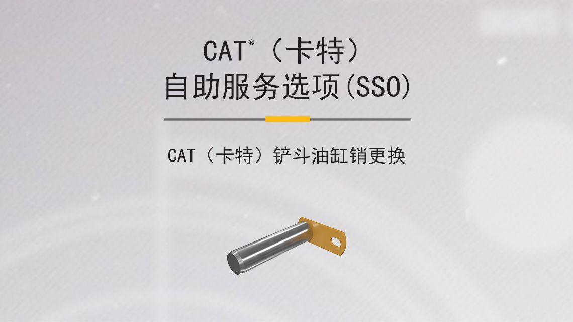 Bucket Pins and bearings on gray background